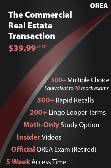 The Commercial Real Estate Transaction