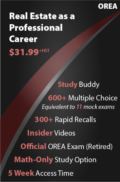 Real Estate as a Professional Career