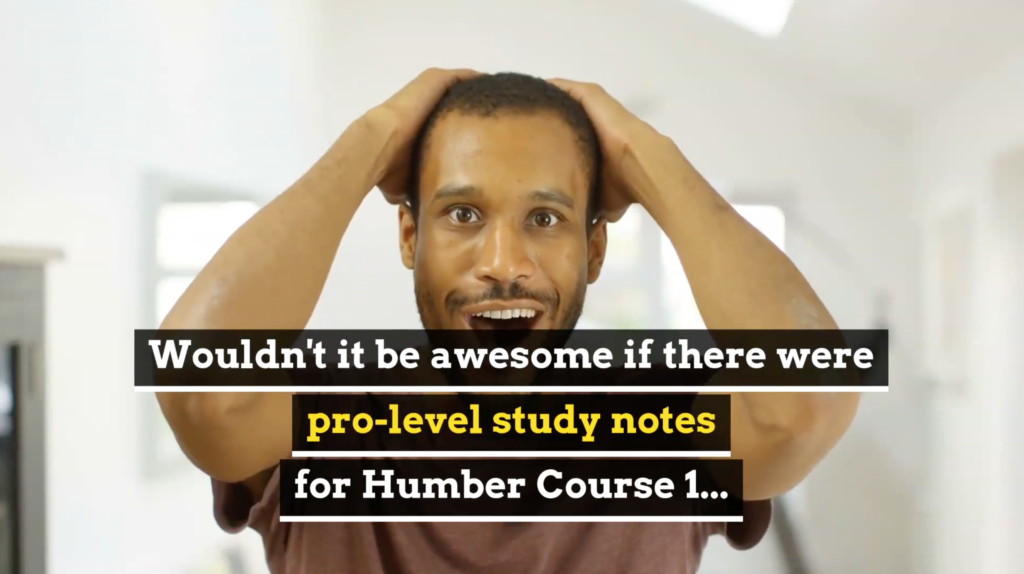 Passit Study Buddy Notes for Humber Course 1